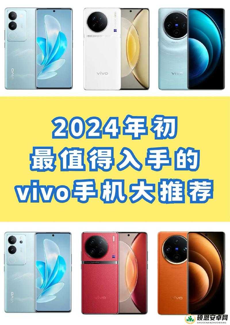 3.0.3 免费 vivo 版破解大全 2024：最新最全面的破解资源集合